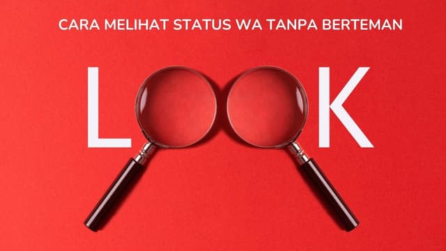 Cara Melihat Status WA Tanpa Berteman Semudah Ini