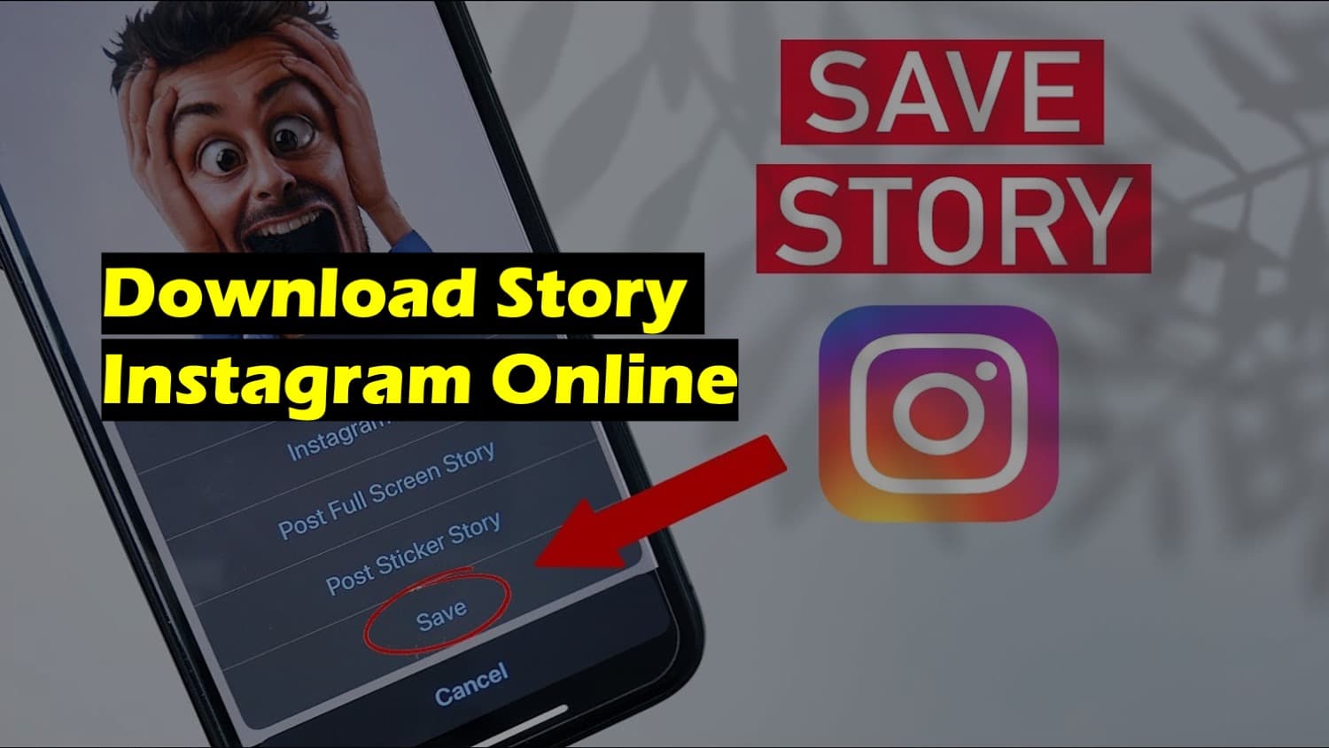 Download Story Instagram Online